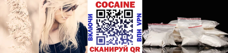 COCAIN Fish Scale  Купить закладки  Дмитров 