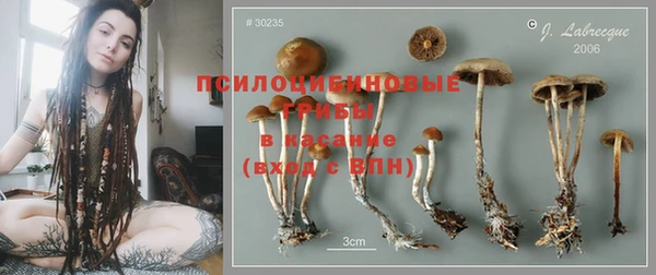 каннабис Каменка