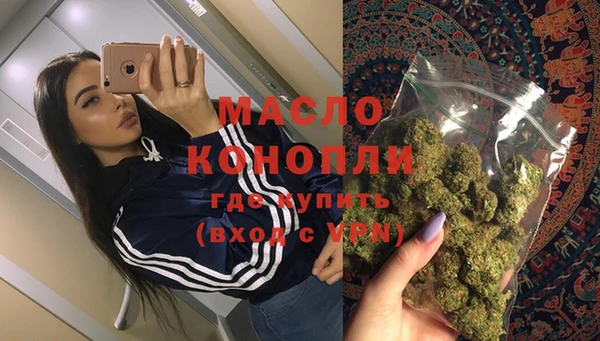 молекула духа Каменногорск