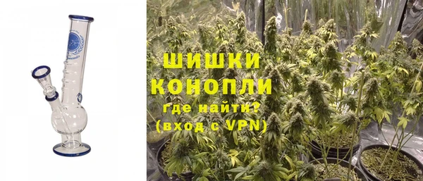 PSILOCYBIN Каменск-Шахтинский