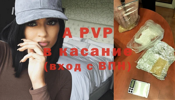 молекула духа Каменногорск