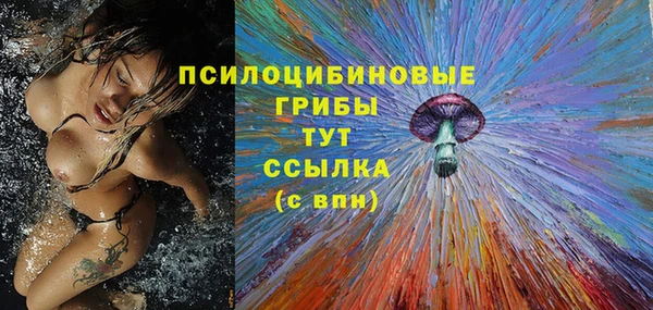PSILOCYBIN Каменск-Шахтинский