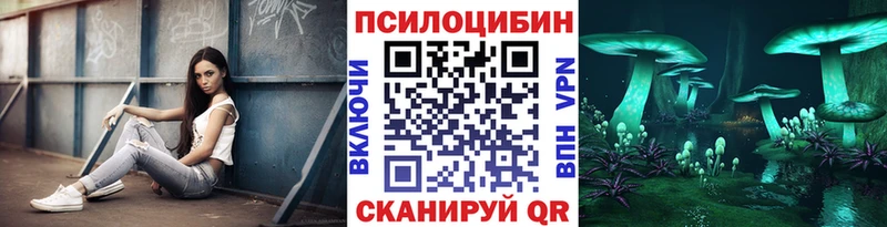 Купить где  Дмитров  Псилоцибиновые грибы прущие грибы 